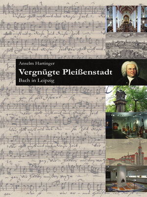 cover image of Vergnügte Pleißenstadt